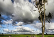 TF gaming-巴萨再度战胜皇马，梅西成为焦点