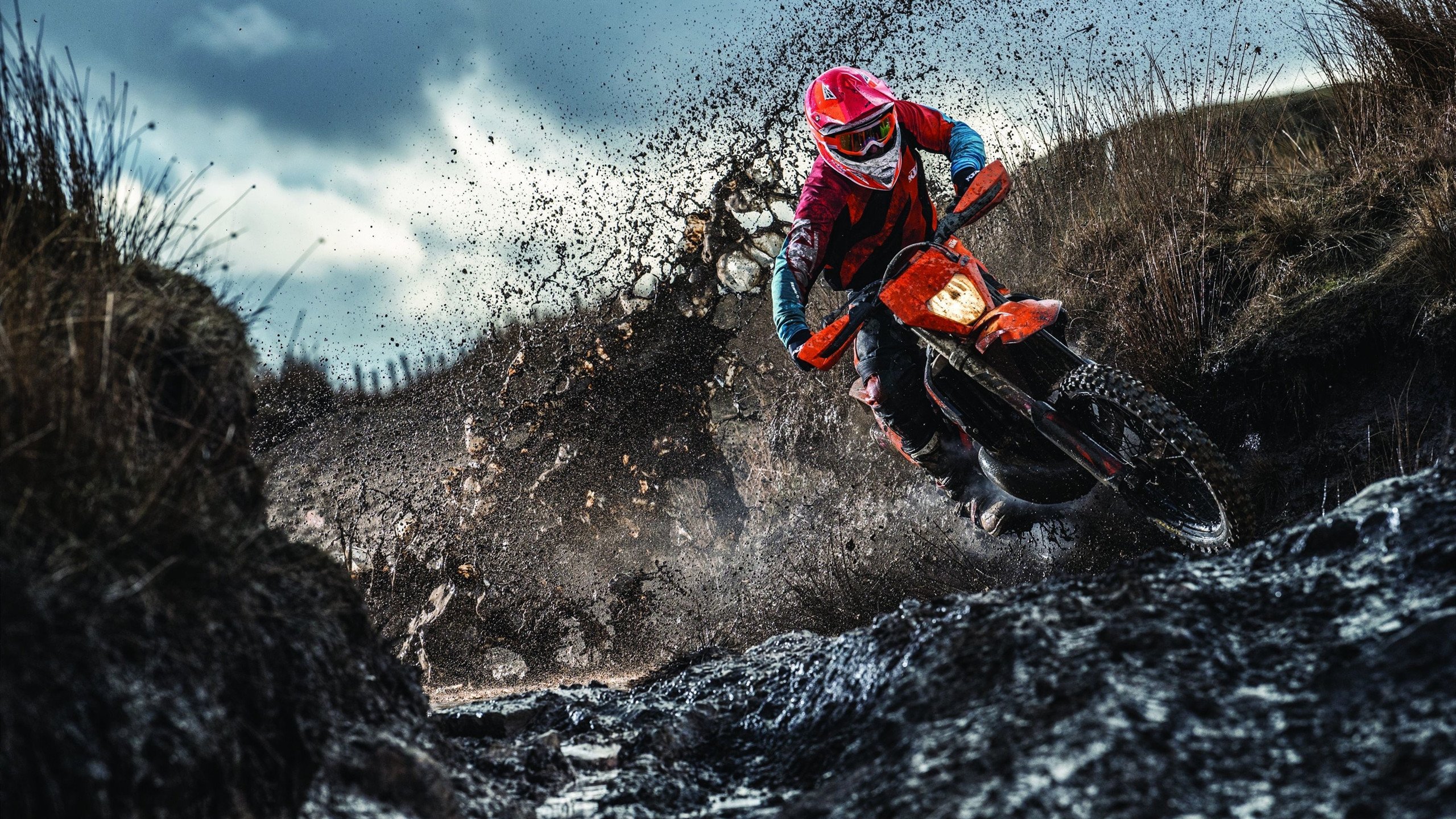 火箭踏平广东队，武切维奇关键节点连续得分定乾坤