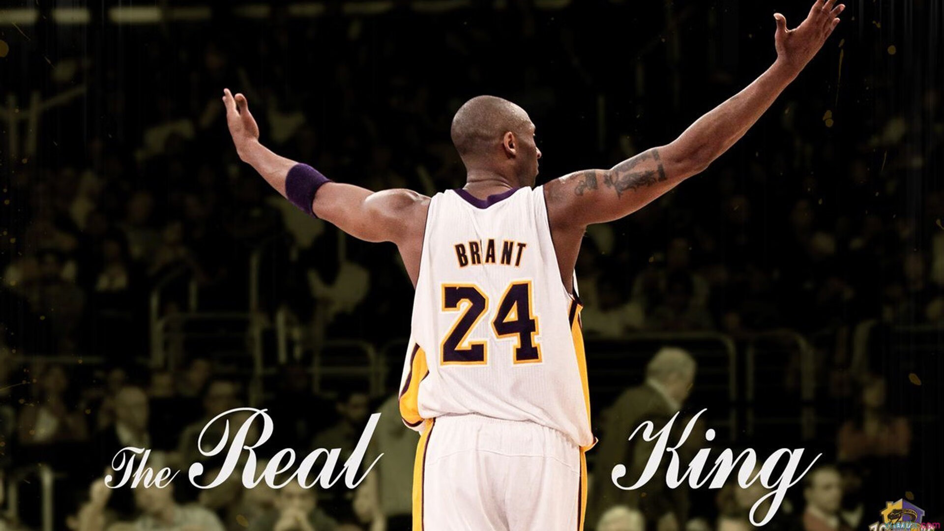 字母哥的史诗之战，希腊硬汉如何在总决赛焦点战中击溃土耳其铁骑