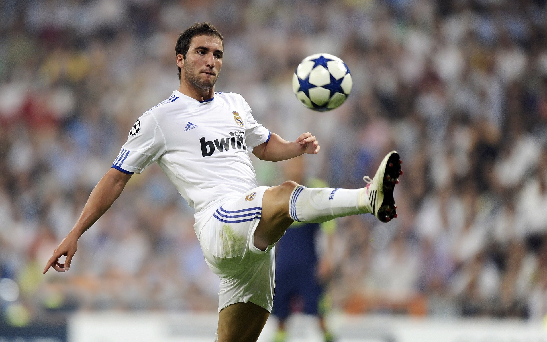 钢铁与火焰的碰撞，广东队鏖战骑士，武切维奇纪录之夜重塑内线传奇